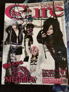 Cure Vol.130 2014 July V系