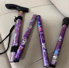 Item thumbnail for item e5d19a17-e048-4590-89cf-3be5f3a7dfd7