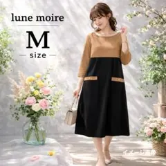 Item thumbnail for item 5f3d92d8-409f-4119-9052-5203a63f7fda