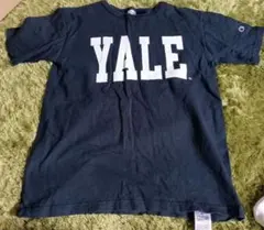Champion Yale University Tシャツ Mサイズ