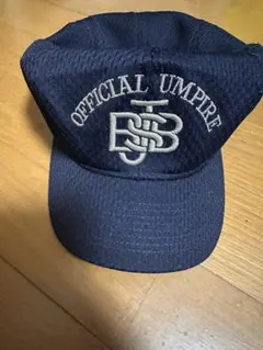 Item thumbnail for item 0904cc37-4cb5-487c-af8e-fd96e63e457b