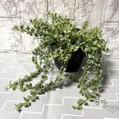 うさchan-88様 リクエスト 2点 まとめ商品