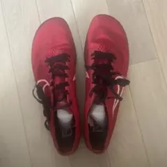 NIKE Zoom Dragonfly28.0cm 限定カラー 超美品 - メルカリ