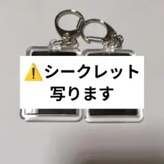 でゅあだい シークレット ランダムキーホルダー あのちゃん ano ホール