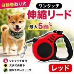 伸縮リード 5m ワンタッチ 赤 レッド ペットリード 散歩 小型 中型犬 軽量のサムネイル