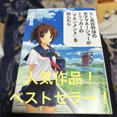 もし高校野球の女子マネージャーがドラッカーの「マネジメント」を読んだら 岩崎夏海