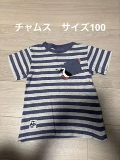 「チャムス」ストライプ柄 ペンギンTシャツ Kid's Mのサムネイル