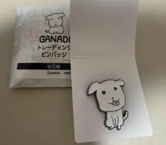 ガナディ GANADI POP UP STORE 渋谷109限定 ピンバッジ - メルカリ