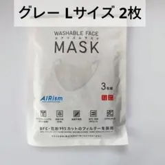 AIRism 洗えるマスク Lサイズ グレー 2枚入りライトグレー