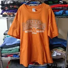 2005sGILDANヴィンテージLテキサスtシャツUSA直輸入一点メンズ古着