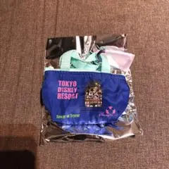 東京ディズニーリゾート オンライン限定ポーチ