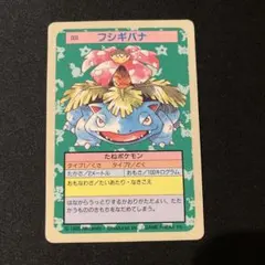 ポケモンカード フシギバナ トップサン 初期エラーカード 裏青 レア