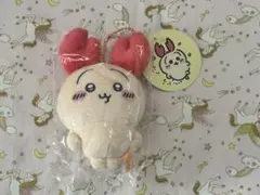 2025年最新】ロブスターうさぎの人気アイテム - メルカリ