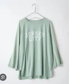 【Kastane/WHIMSIC】レーヨンプレーティングベースボール