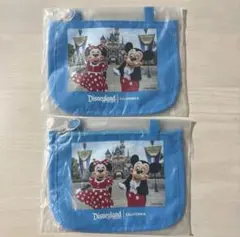 【新品未使用】海外ディズニー パスポートケース 2個セット