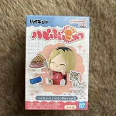 ハイキュー!! ハピふぃぎゅっ vol.2 孤爪研磨