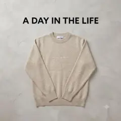 A DAY IN THE LIFE クルーネック ニット ベージュ S トップスのサムネイル