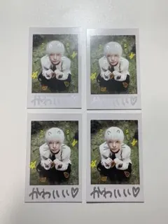 &TEAM Back to Life HARUA 4枚セット