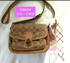 Item thumbnail for item 926adb0f-45b8-4031-949f-8c1641e9ee55