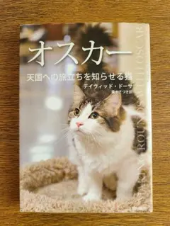 Item thumbnail for item 9c9b10a7-312f-45c8-85b8-5a20dc4c1e86