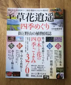 Item thumbnail for item 4b4f16f3-8163-4f4e-8753-14a7f8f94819