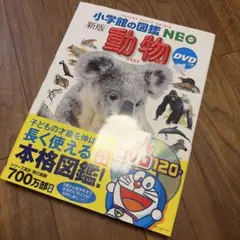 動物