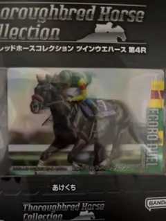 Thoroughbred Horse Collection エコロデュエル