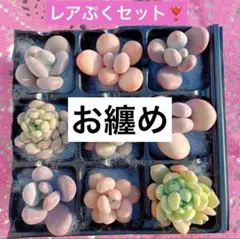 テジ子様 リクエスト 2点 まとめ商品