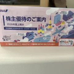 ANAグループ優待券 2026年6月〜11月