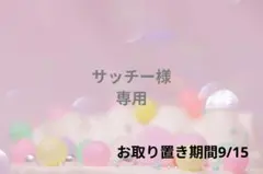サッチー様❁⃘*.゜専用ページ