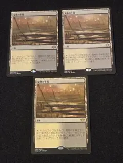 湿地の干潟 4枚 | Mercari