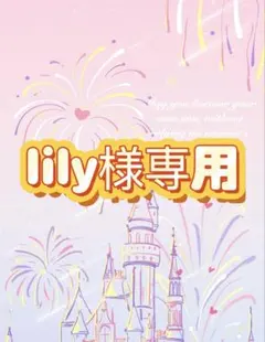 lily様の専用ページ　ボールペン　15本