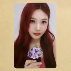 SMTOWN 2025 東京 ランダム トレカ RedVelvet ジョイ - メルカリ