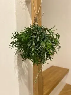 【数量限定】クリスマス　スワッグ　リース　ドライフラワー　コニファー　ナチュラル