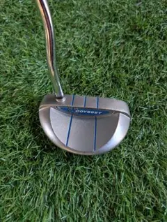 パター レディース