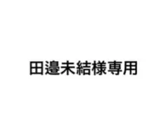 田邉未結様専用