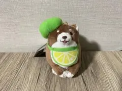 忠犬もちしば フレッシュフルーツマスコット ぬいぐるみ