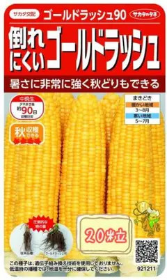 野菜の種【スイートコーン】ゴールドラッシュ90のサムネイル