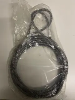 トローリング#ビシ鉛 強力ナイロン50号50m鉛1匁250個1100g - メルカリ