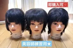 【限定値下げ】カットウィッグ 3体セット 美容師練習用