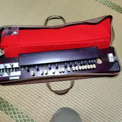 大正琴 ケース付き - メルカリ