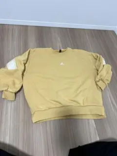 裏起毛トレーナーレディース スウェット