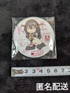 艦これ 呉コラボ 缶バッジ 加賀 カレー機関Express 艦これ 呉コラボ 缶バッジ 加賀 カレー機関Express 艦これ 呉