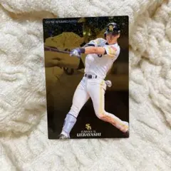 Item thumbnail for item 5c4957a4-341a-4180-8263-ddd13a9a2e8b