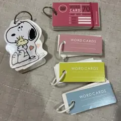 Item thumbnail for item 54421192-891b-48ce-8934-81b439cae56a