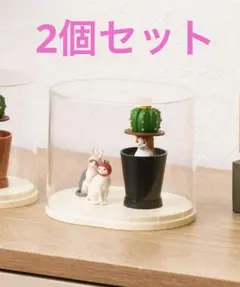 3coins 円柱型ディスプレイボックスMサイズ ×2個のサムネイル