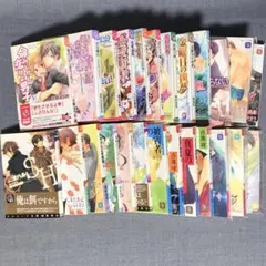 BL文庫 まとめ売り 25冊