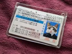 なめ猫 免許証 初代又吉 1980年代