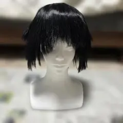 白雪姫 スノーホワイト 仮装 Dハロ ウィッグ - メルカリ