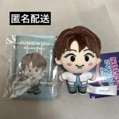 【匿名配送】NCT127 CCOMAZ マスコット マルチケース ジョンウ